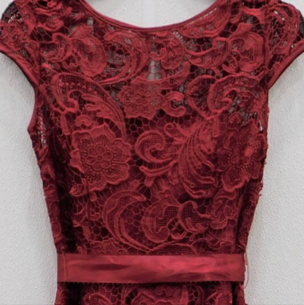 Adrianna Papell Rose Red Lace Illusion Party Dress XS - Picture 5 of 13